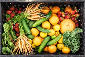 Fresh Fruits and Vegetables
