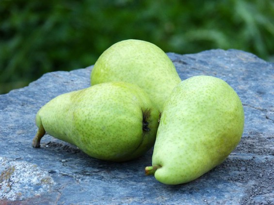 Pear image