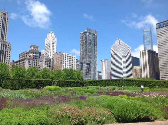 image of a community garden with a large cityscape in the background