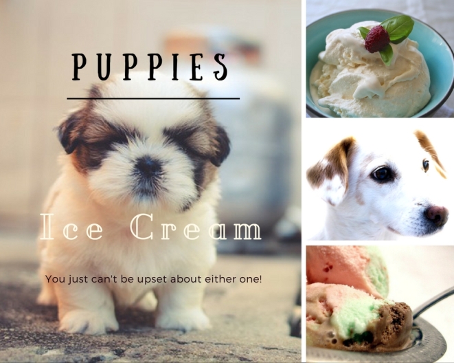 A collage of puppies and ice cream